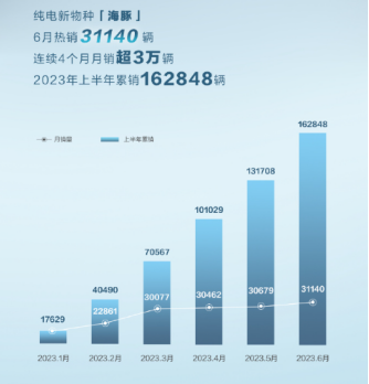 上半年销量最好的十大车型，比亚迪四款车型上榜(图4)